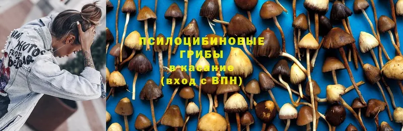 Галлюциногенные грибы MAGIC MUSHROOMS  Зеленодольск 